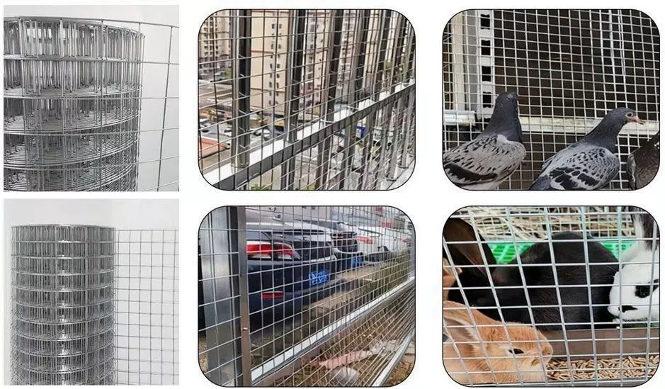 Welded Wire Mesh