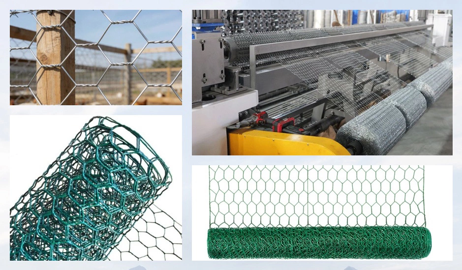Hexagonal Wire Mesh